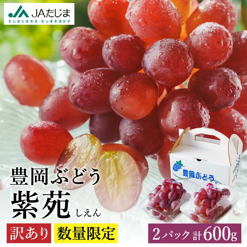 【2026年先行予約】数量限定 訳あり 豊岡ぶどう「紫苑」 約300g×2パック／ 紫苑  しえん ブドウ 葡萄 訳ありぶどう 大粒 強い甘み 爽やかな酸味 新鮮 果物 産地直送 くだもの フルーツ 上品 香り