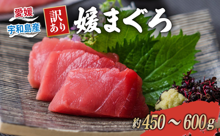 【2027年1月13日発送】 訳あり 本マグロ ブロック 450～600g 媛まぐろ ダイニチ 鮪 D026-031005-270113