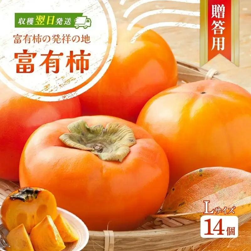 富有柿発祥の地から収穫翌日発送！【贈答用】富有柿 Lサイズ 14個 | かき フルーツ カキ 果物 くだもの ※2026年11月～発送