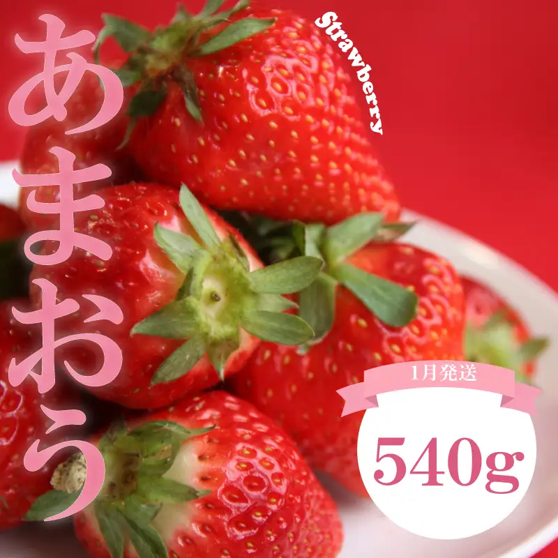 【2027年1月発送】 苺 あまおう 540g (270g×2P) いちご | あまおう OKI
