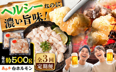 全3回定期便 あか牛 白 ホルモン 約500g ホルモン BHCY010