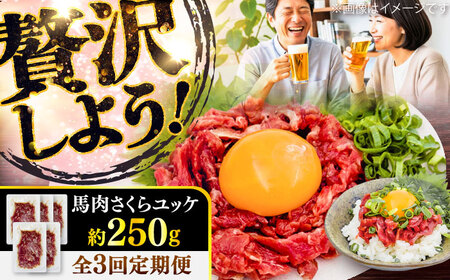 全3回定期便 馬肉さくら ユッケ 約250g ユッケ BHCY030