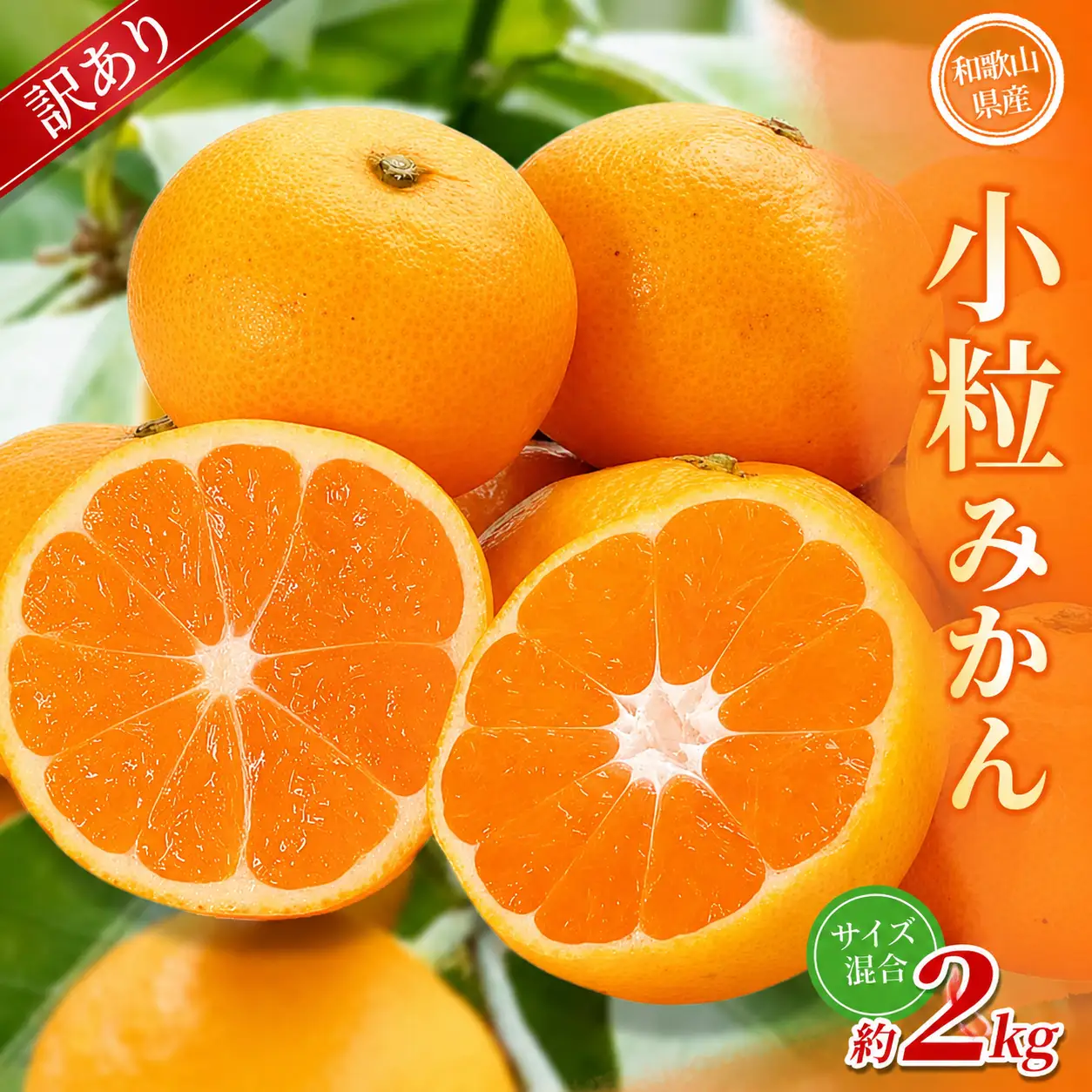 小粒みかん 約2kg 【訳あり】 森本農園の手選別 和歌山県産【BV-mrmt065】