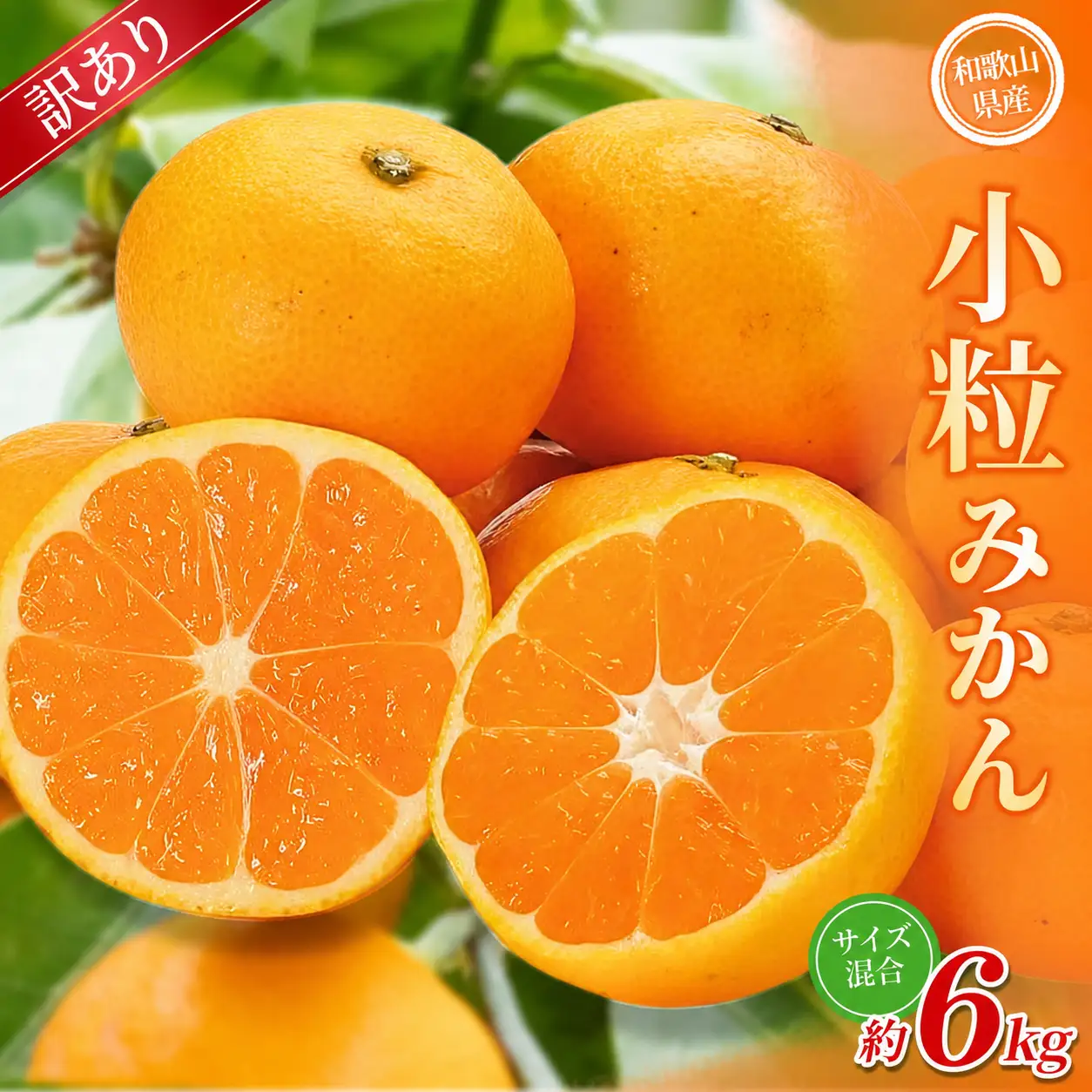  小粒みかん 約6kg 【訳あり】 森本農園の手選別和歌山県産 【BV-mrmt066】