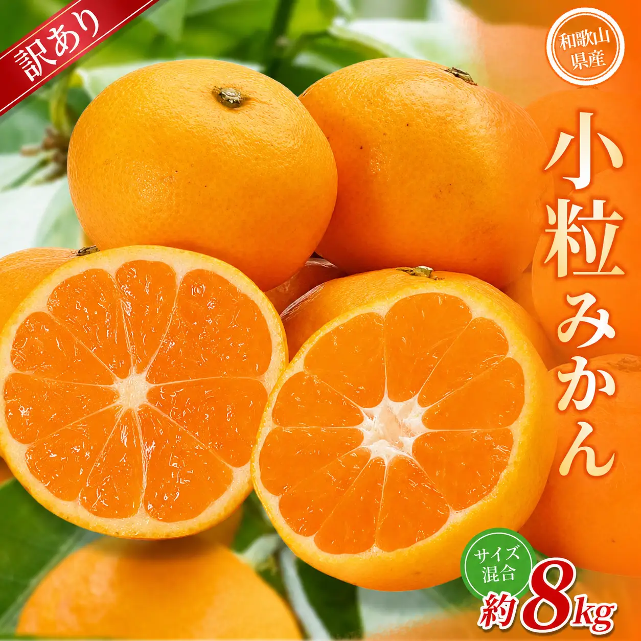 小粒みかん 約8kg 【訳あり】 森本農園の手選別 和歌山県産 【BV-mrmt067】