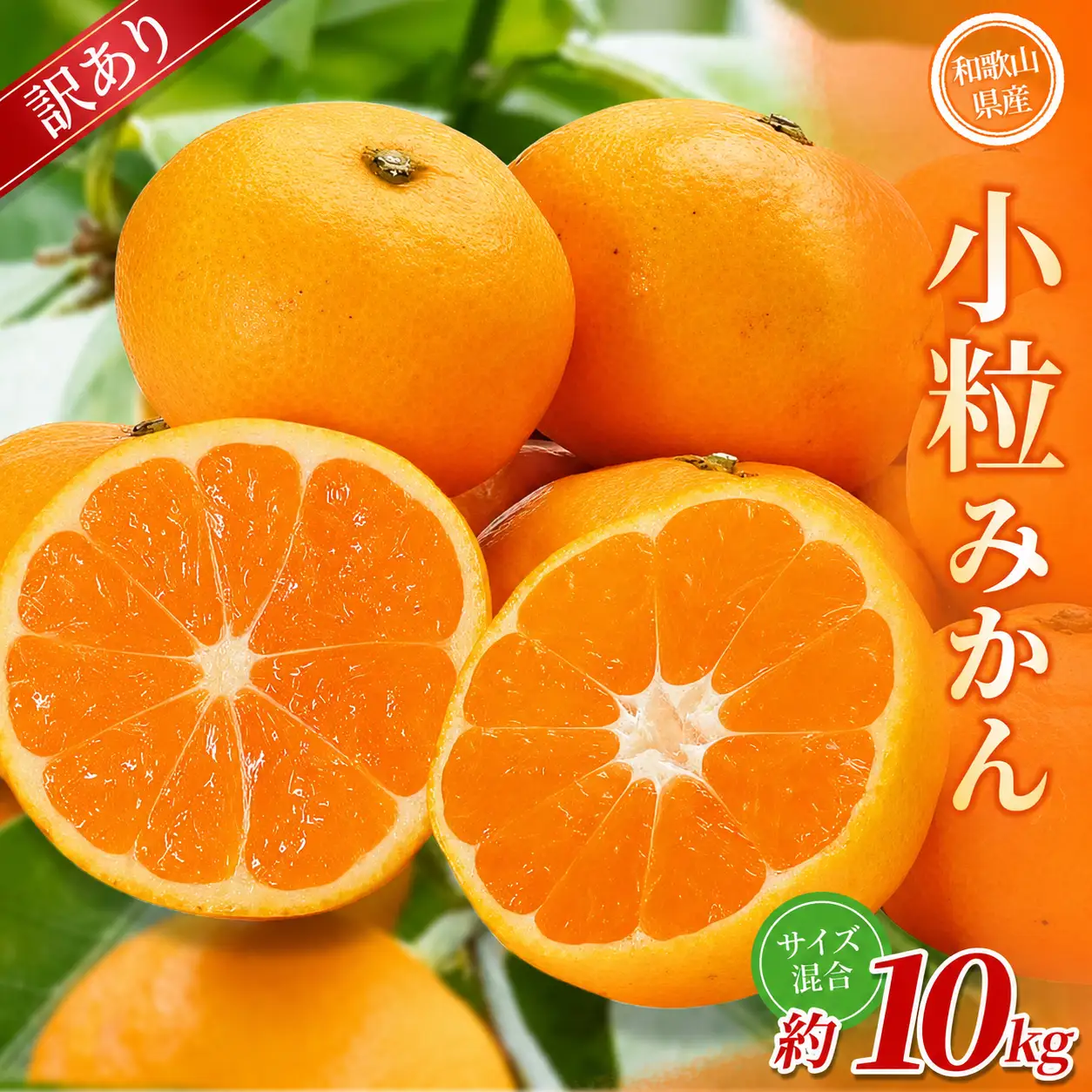小粒みかん 約10kg 【訳あり】 森本農園の手選別 和歌山県産 【BV-mrmt068】