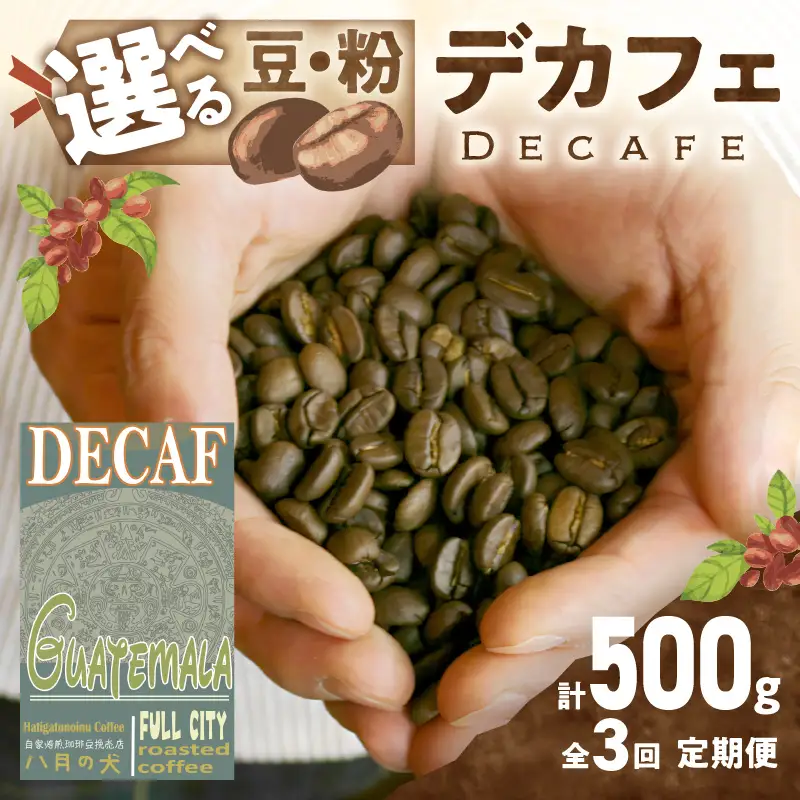 【コーヒー豆定期便全3回】【デカフェ】グアテマラカフェインレスコーヒー豆 隔月250g×2