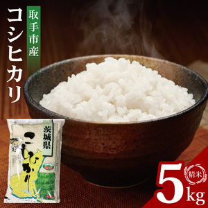 R7年産取手市産コシヒカリ 精米5kg|お米 米 こしひかり コシヒカリ 白米 茨城県 取手市（BS001）