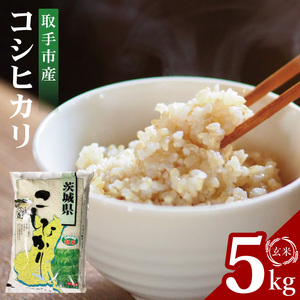 【数量限定】【期間限定】R7年産取手市産コシヒカリ 玄米5kg|お米 米 こしひかり コシヒカリ 玄米 茨城県 取手市（BS003）