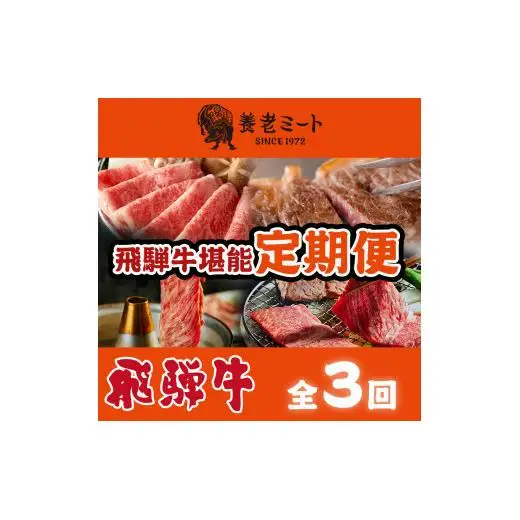 【3か月定期便】月替わりで色々な飛騨牛を楽しめる全3回