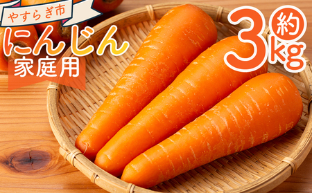 【2026年11月以降発送】にんじん ３ｋｇ 家庭用 yr-0137