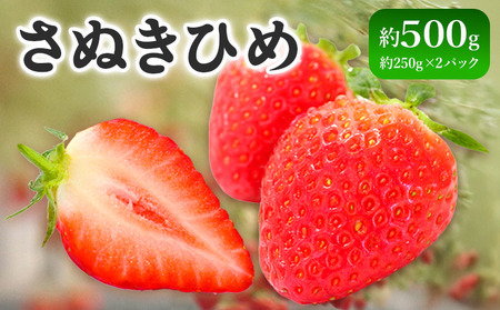 先行予約 いちご さぬきひめ 約500g いちご