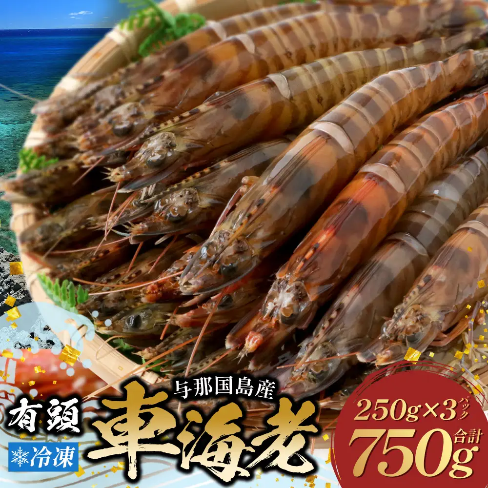 こだわりの車海老　有頭車海老（冷凍）250ｇ×3パック F009｜沖縄県 与那国町 与那国 車海老 車エビ 海老 えび エビ 産地直送