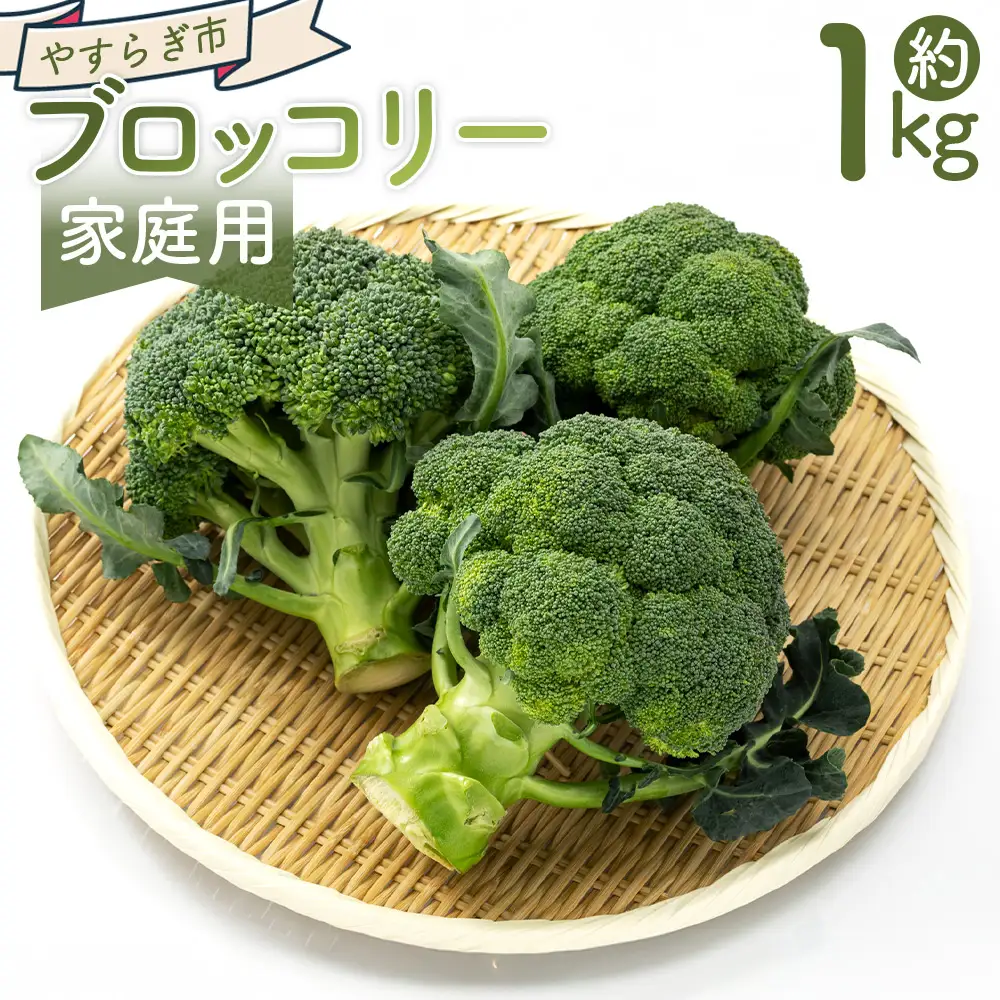 【2026年11月末以降発送】ブロッコリー １ｋｇ 家庭用 yr-0086
