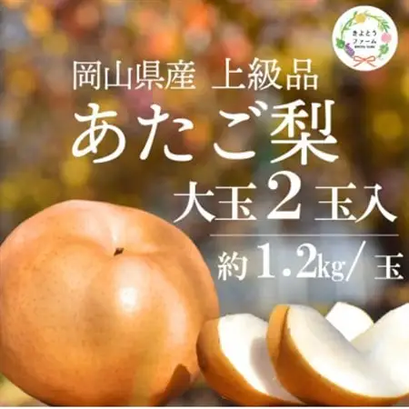 【2026年発送】あたご梨 上級品 2玉入(1.2kg級/玉)(岡山県産) お歳暮やギフトにおすすめ【1559963】