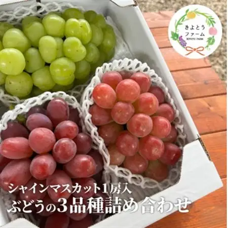 【2026年発送】ぶどう3品種詰合せ(シャインマスカット入)3-5房入/計2kg～(岡山県産)【配送不可地域：離島・北海道・沖縄県】【1678561】