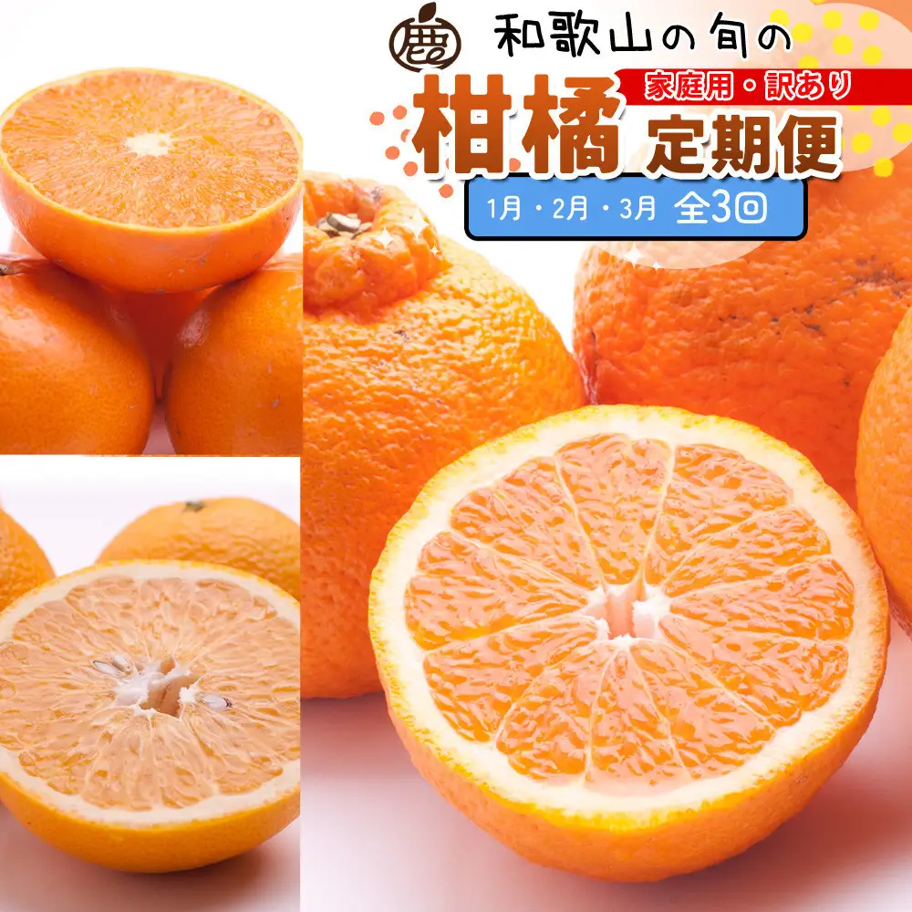 家庭用 柑橘定期便S（1～3月）全3回 ［IKE303］