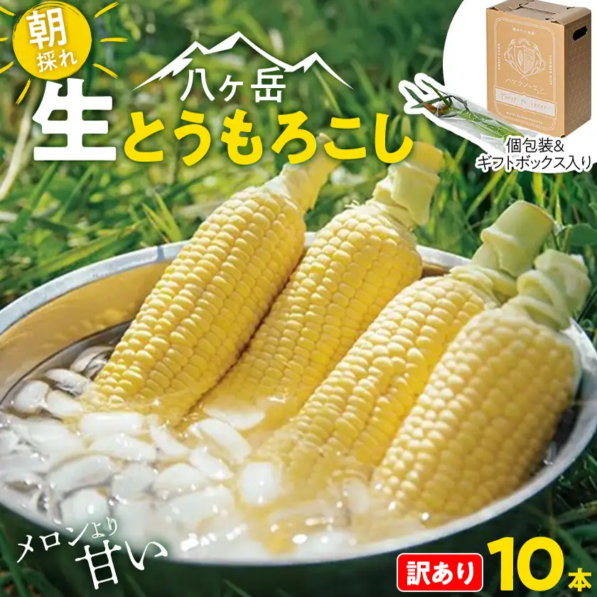 【訳あり】朝採れ 八ヶ岳生とうもろこし はねだし10本(約3kg)〈26年7月～9月下旬発送予定〉【配送不可地域：離島】【1678265】