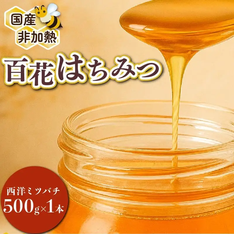 蜂蜜 百花蜜 西洋ミツバチ 500g 蜂蜜