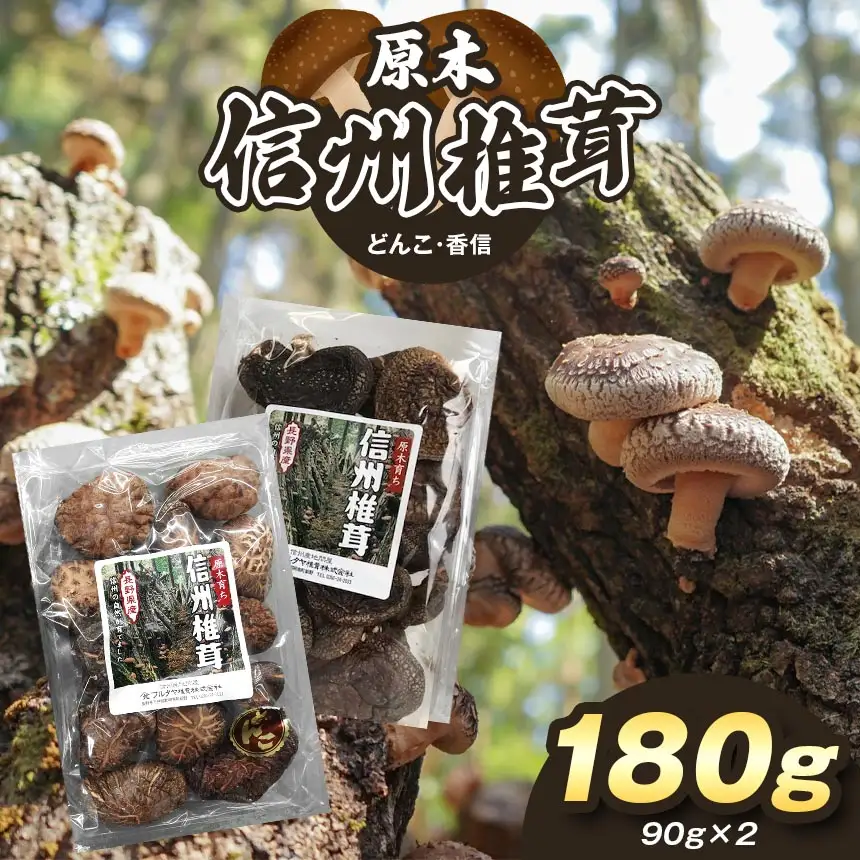 原木 信州椎茸 どんこ・香信 干ししいたけ セット
