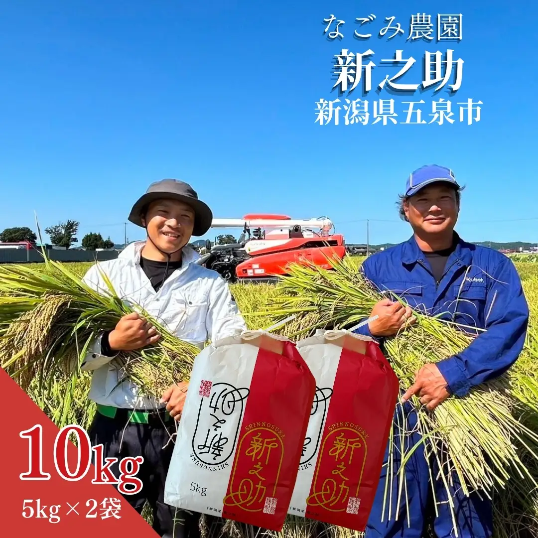 【令和8年産 先行予約】新之助 10kg 5kg×2袋 精米 なごみ農園 五泉市｜新米 新之助