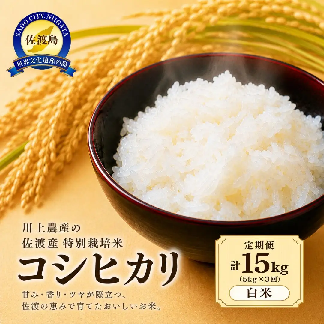 令和7年産 佐渡 川上農産のコシヒカリ 定期便（5kg×全3回）