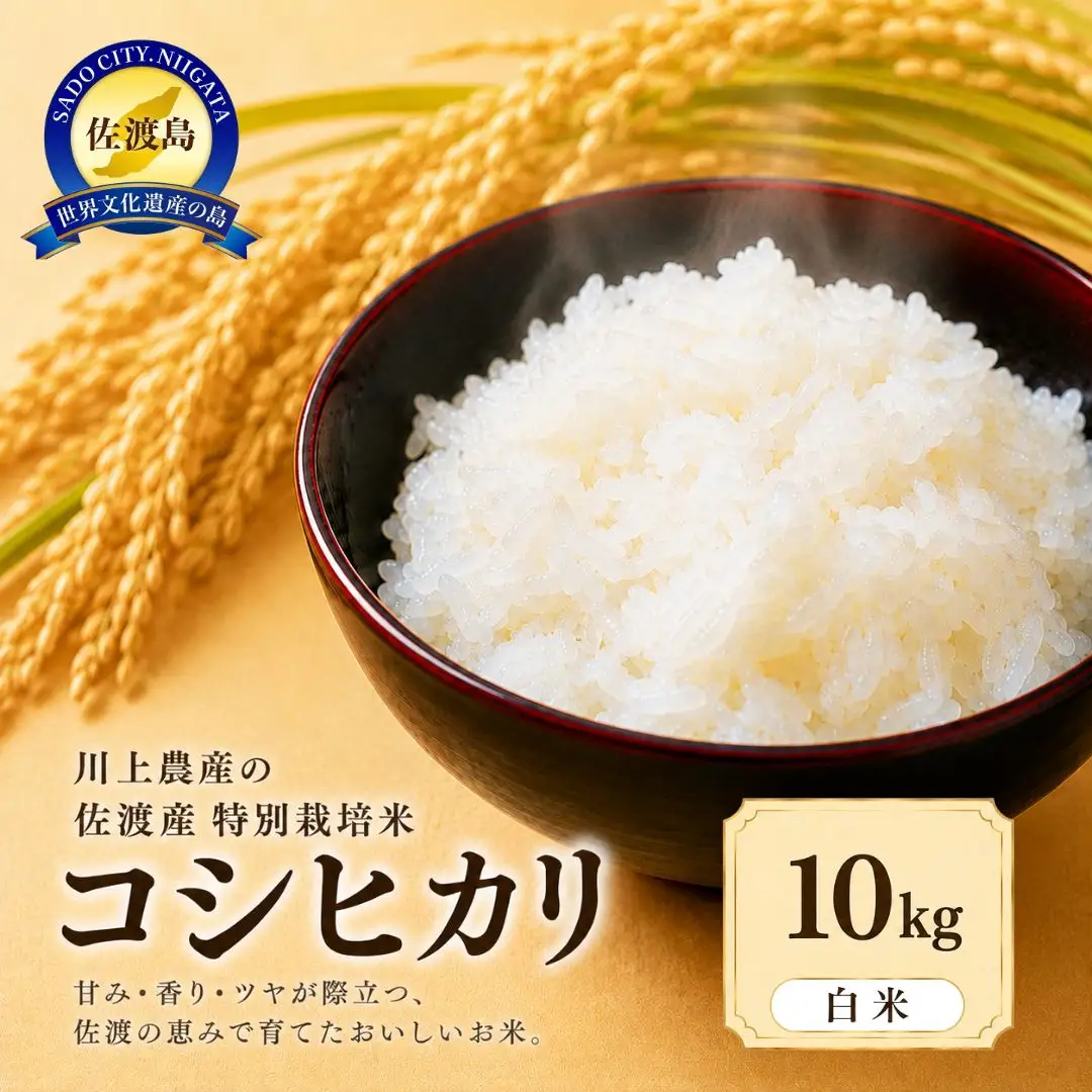 コシヒカリ 精米 10kg | 新潟県 佐渡市 コシヒカリ