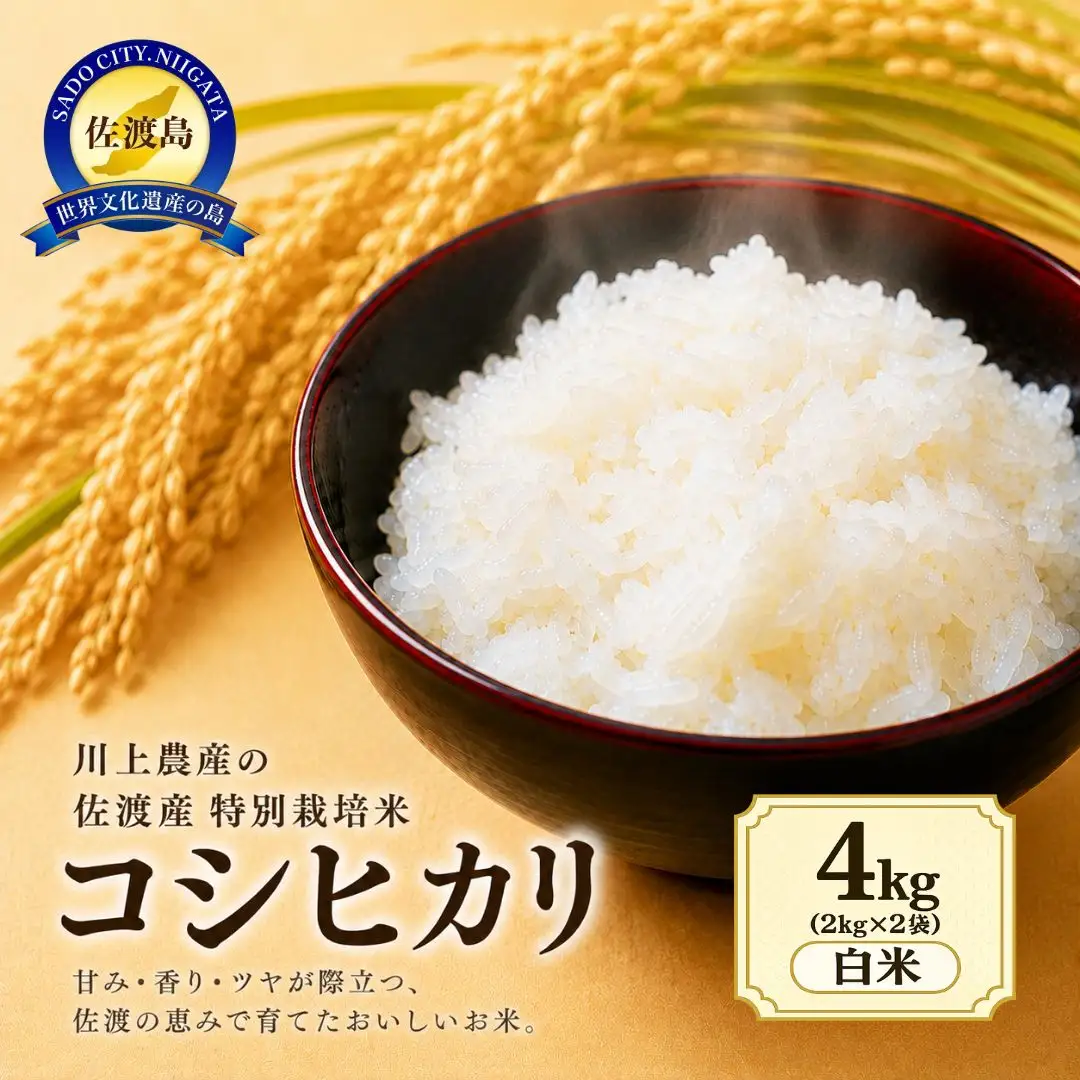 コシヒカリ 精米 4kg | 新潟県 佐渡市 コシヒカリ