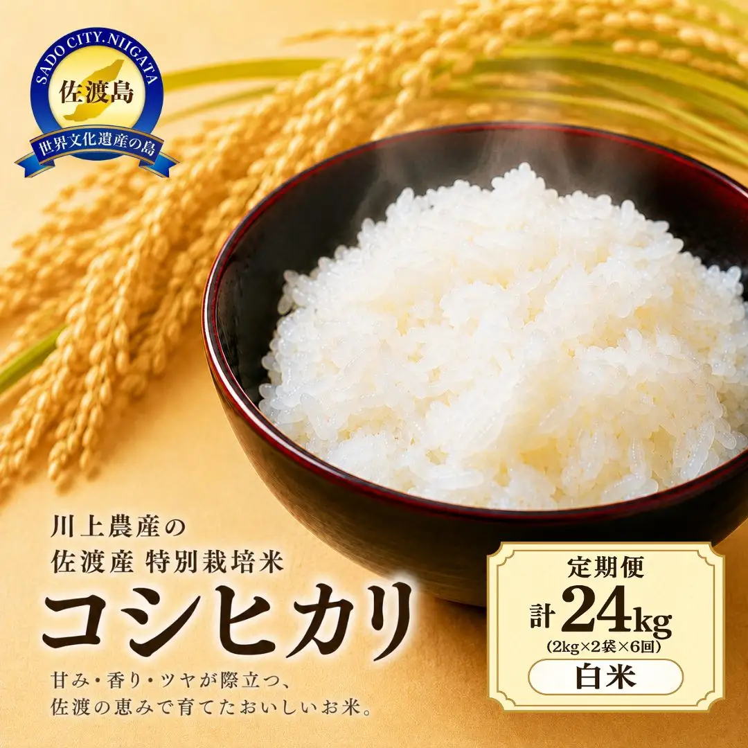 【定期便 6回】コシヒカリ 精米 4kg | 新潟県 佐渡市 コシヒカリ