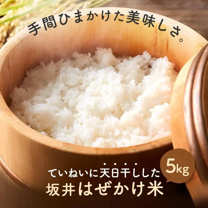 ＜直売所「まんだらの庄」＞坂井はぜかけ米（5ｋｇ）0