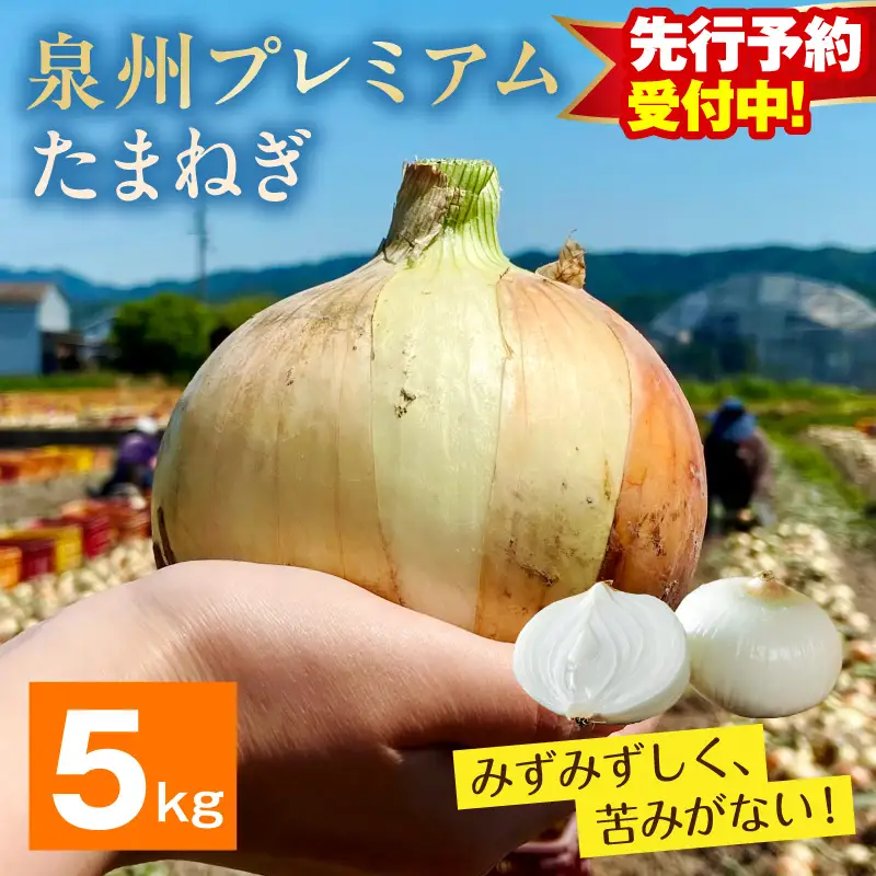 【先行予約】プレミアムたまねぎ 5kg