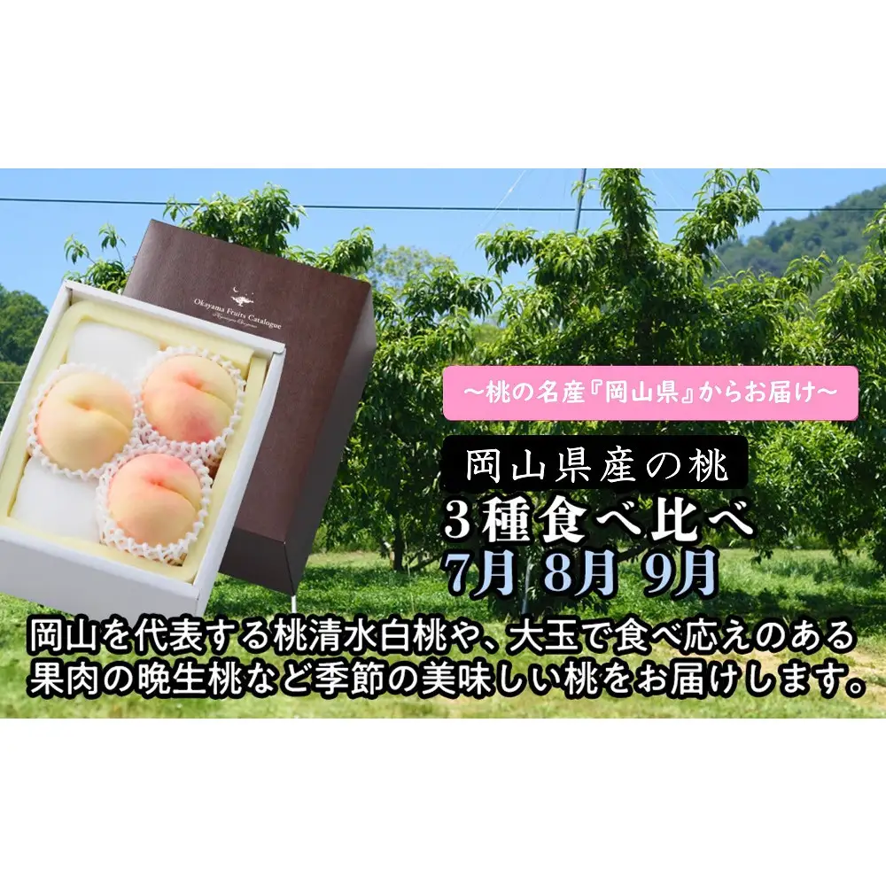 【定期便】岡山県産の桃　3種食べ比べ（7月・8月・9月）【2027年度発送】