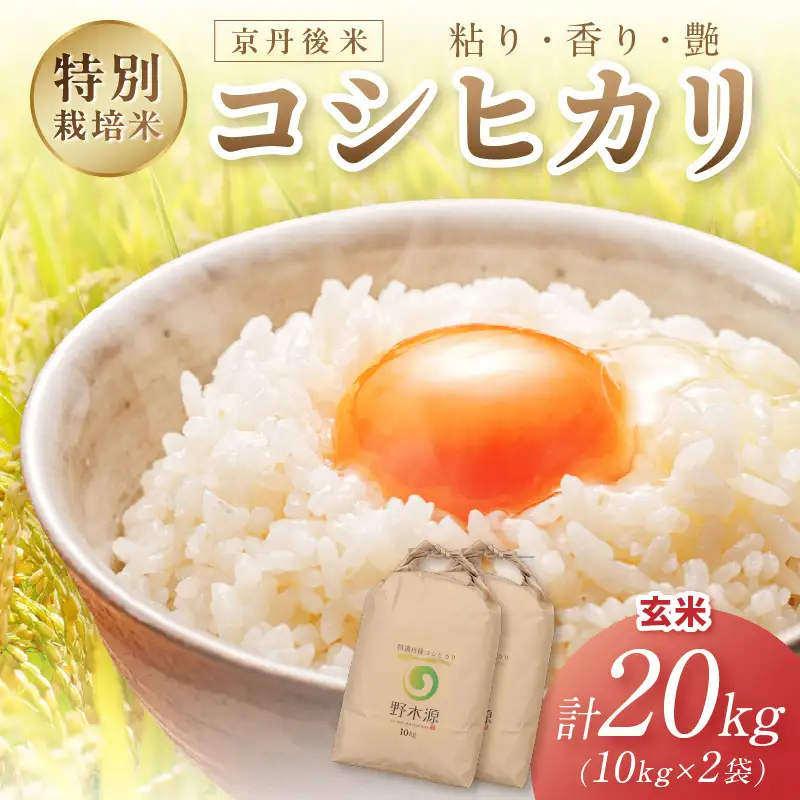 2026年産 京丹後米 特別栽培米コシヒカリ 20kg（玄米）
