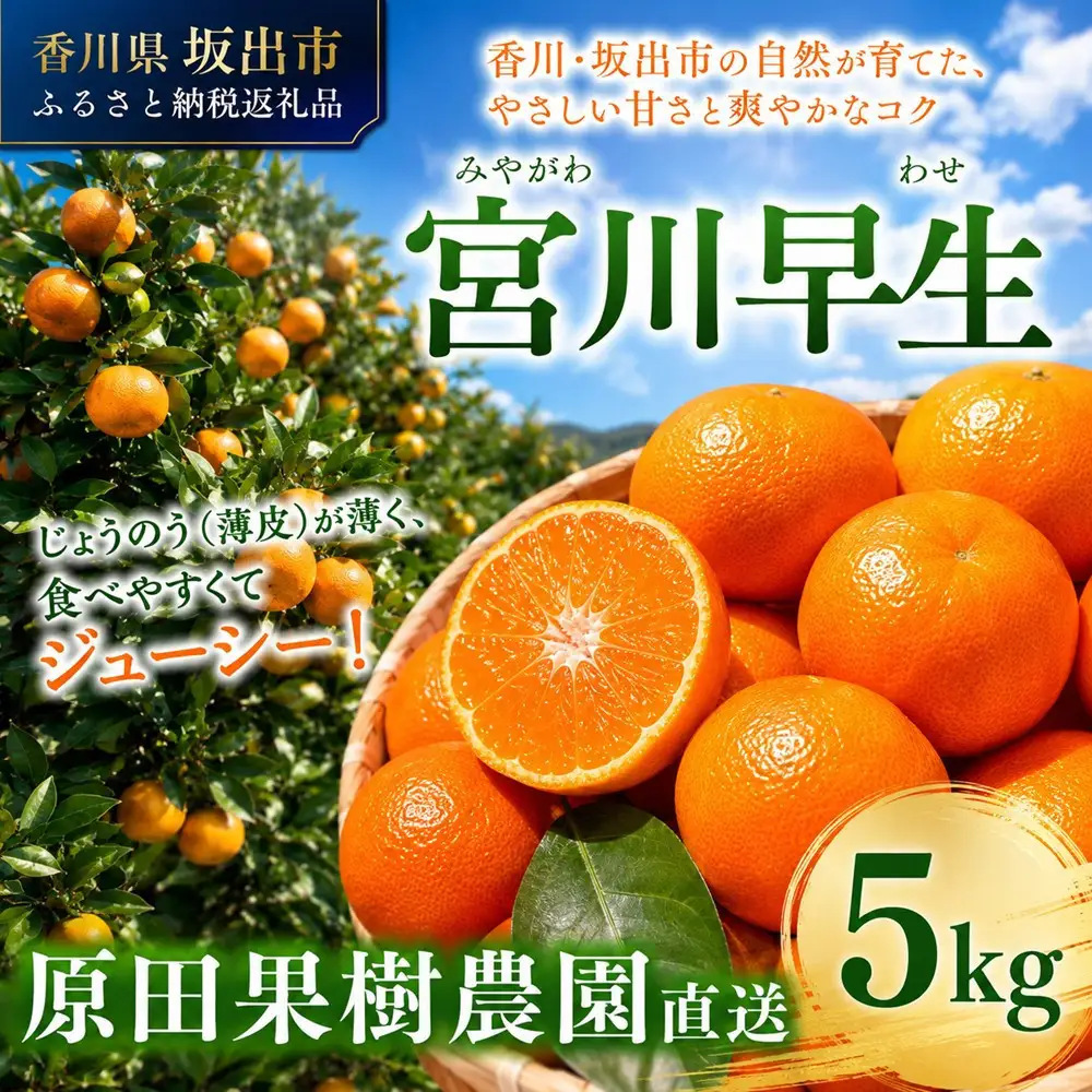 原田果樹農園直送！ 宮川早生みかん 約5kg（S~Mサイズ混合）数量限定