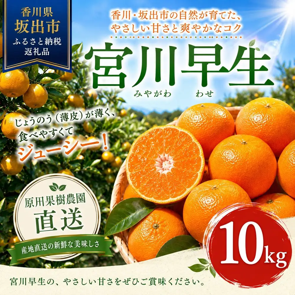 原田果樹農園直送！ 宮川早生みかん 約10kg（S~Mサイズ混合）数量限定
