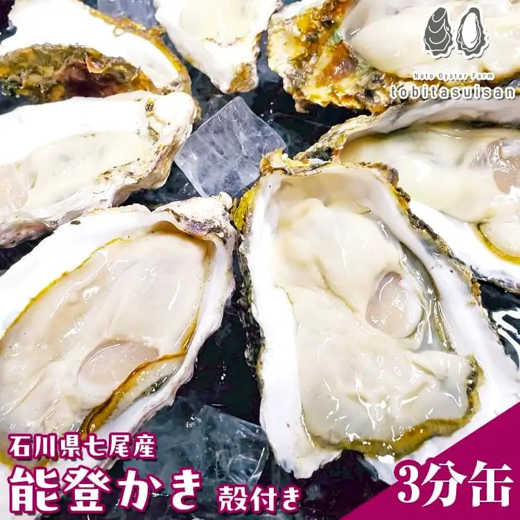 飛田水産 石川県七尾産 能登かき 殻付き3分缶 ※要加熱 ※2027年1月～発送 ｜ 牡蠣 殻付き