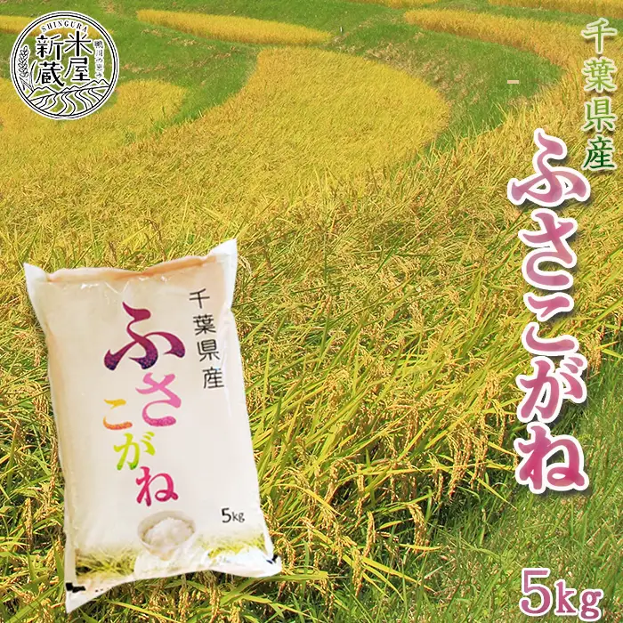 【お米ソムリエ厳選】千葉県オリジナル品種 一等米『ふさこがね』５kg（千葉県産） 《令和７年産》《2週間以内に発送》《配送指定OK》千葉県産 ブランド米 コメ 白米 精米 米食味鑑定士 精米したて 色彩選別 [米屋新蔵][0012-0088]