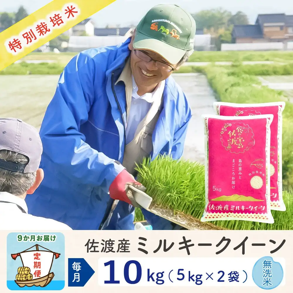 【令和8年産新米 9ヶ月】佐渡島産ミルキークイーン 無洗米 10kg(5kg×2袋） 特別栽培米