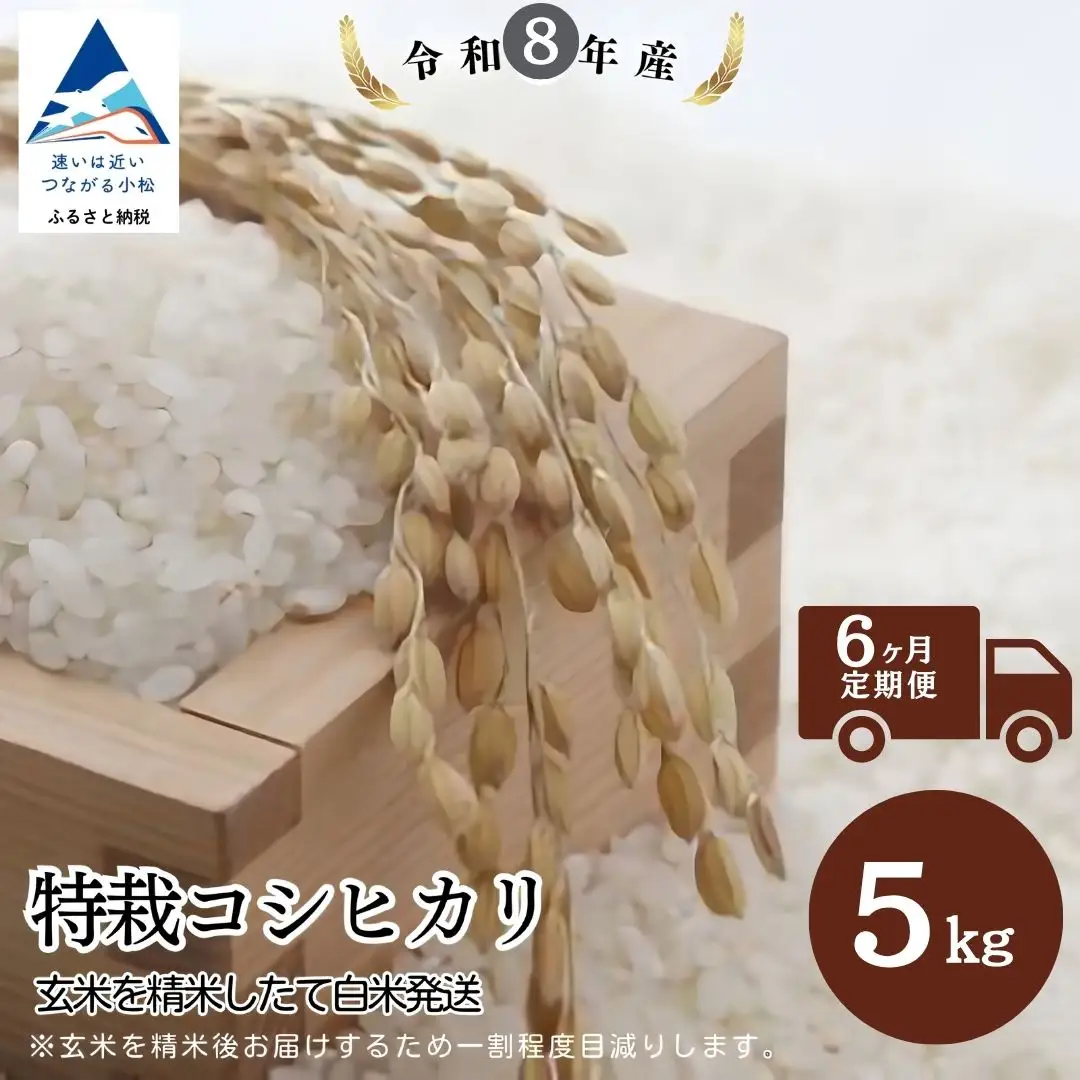 【6ヶ月定期便】令和8年産 特栽コシヒカリ 玄米5kg 精米したて白米発送 のむら農産
