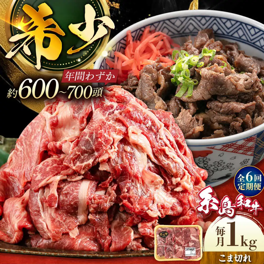 【全6回定期便】希少和牛！糸島和牛 こまぎれ 1kg 糸島市 / トラヤミートセンター 牛肉 黒毛和牛[AJD019]