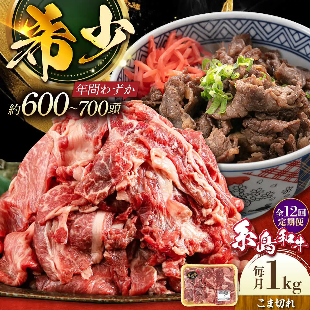 【全12回定期便】希少和牛！糸島和牛 こまぎれ 1kg 糸島市 / トラヤミートセンター 牛肉 黒毛和牛[AJD020]
