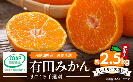 【2026先行予約】有田みかん 約2.5kg 【家庭用】 (S～Lサイズ混合)【まごころ手選別】_ZE6480