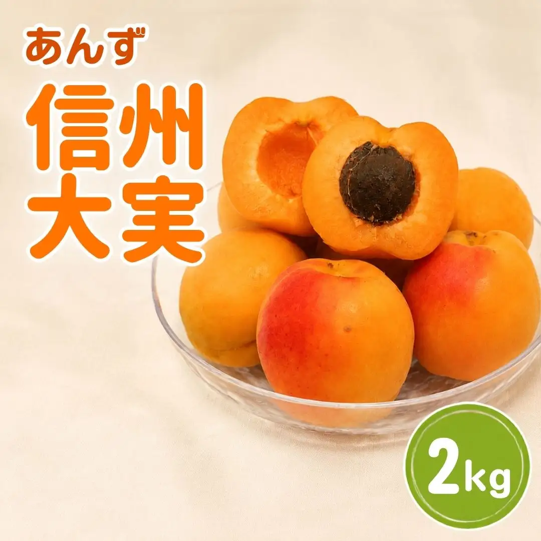 【2027年先行予約】あんず 信州大実(長野県オリジナル品種) 約2kg |あんず 千曲市産