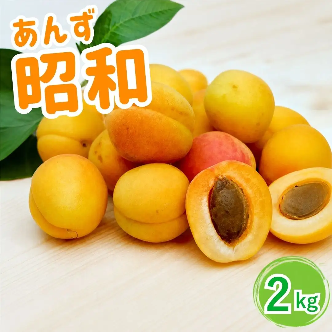 【2027年先行予約】あんず 昭和(長野県オリジナル品種) 約2kg |あんず 千曲市産 長野県 信州