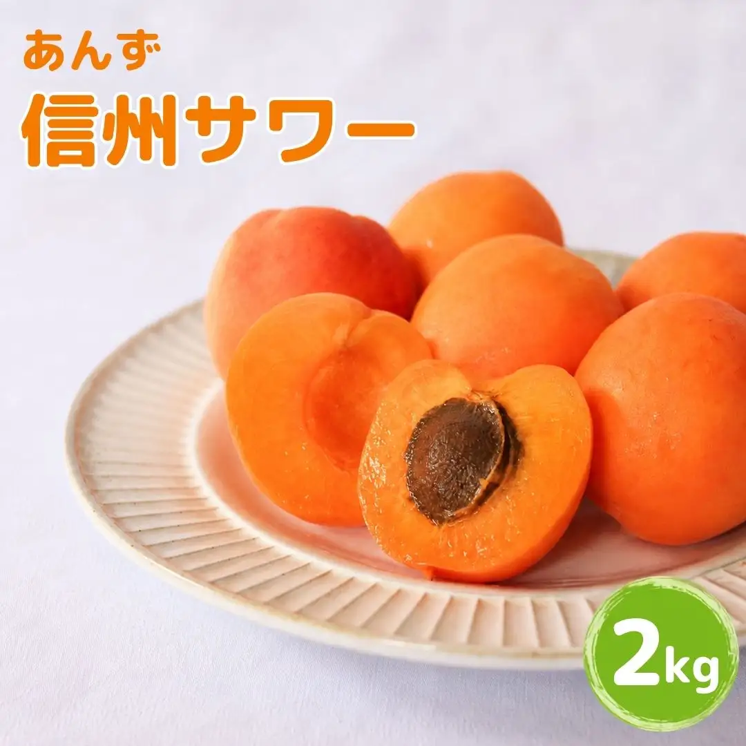 【2027年先行予約】あんず 信州サワー(長野県オリジナル品種) 約2kg |あんず シロップ漬け 千曲市産 長野県 信州