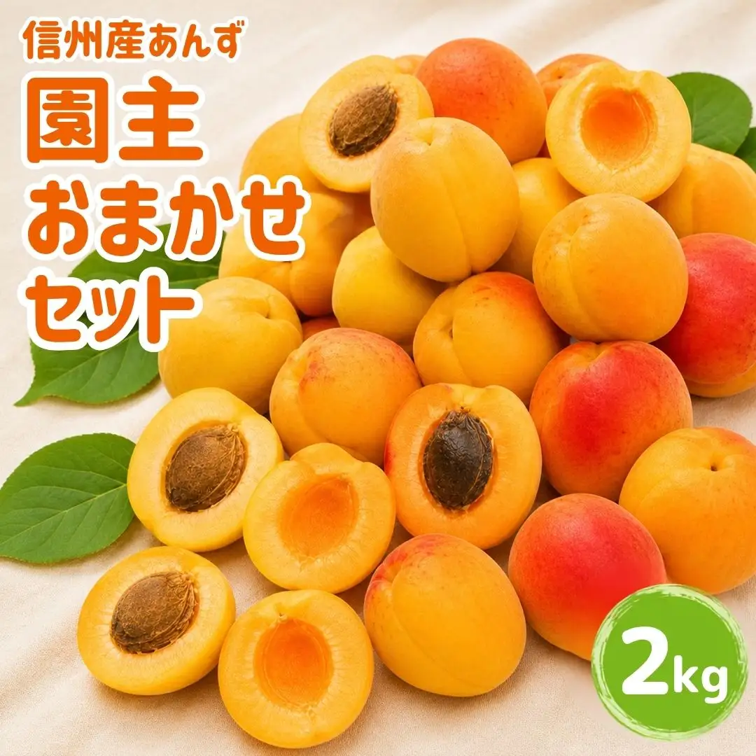 【2027年先行予約】あんず 園主おまかせ セット 計約2kg |あんず 昭和 信州大実 さつき 千曲市産 長野県 信州