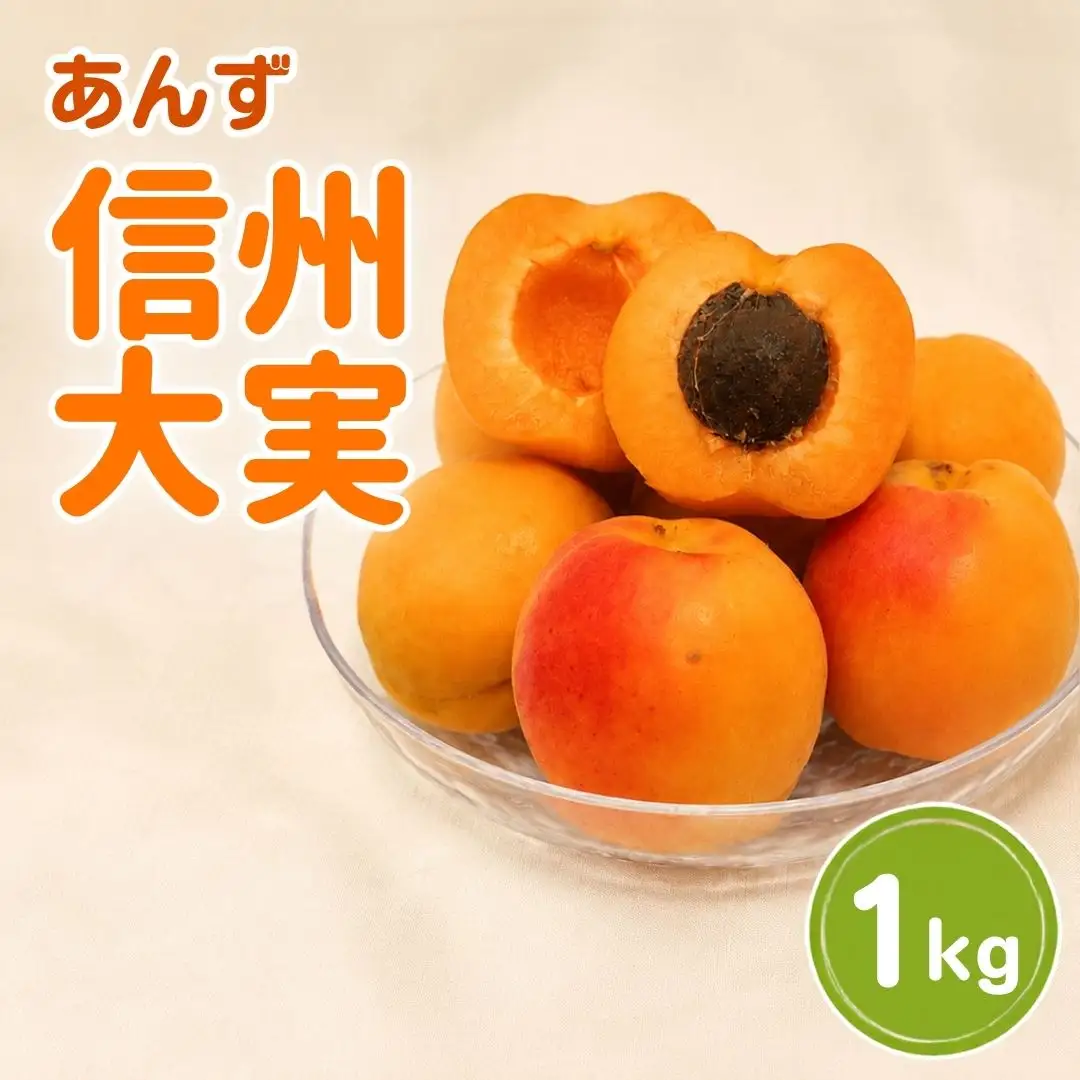 【2027年先行予約】あんず 信州大実(長野県オリジナル品種) 約1kg | 約1kgあんず 千曲市産 長野県 信州