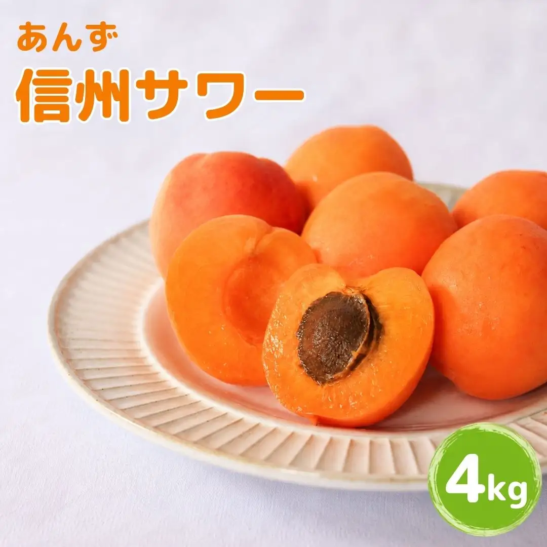 【2027年先行予約】あんず 信州サワー(長野県オリジナル品種) 約4kg バラ詰 |あんず 千曲市産 長野県 信州