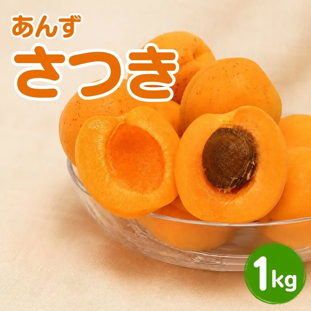 【2027年先行予約】あんず さつき(長野県オリジナル品種) 約1kg |あんず 長野県産 千曲市  信州