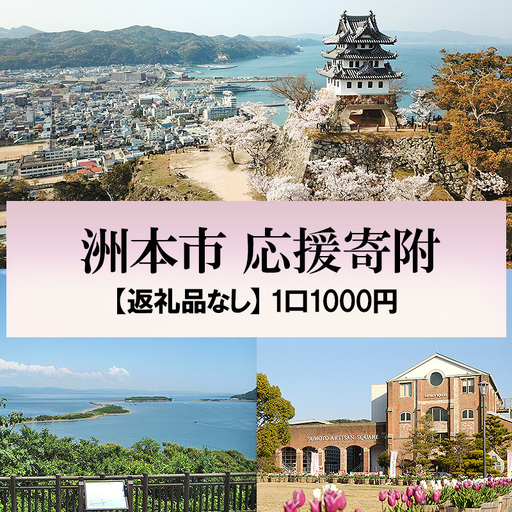 返礼品なし 洲本市応援寄附 ふるさと納税 寄附のみ 応援 淡路島 洲本市